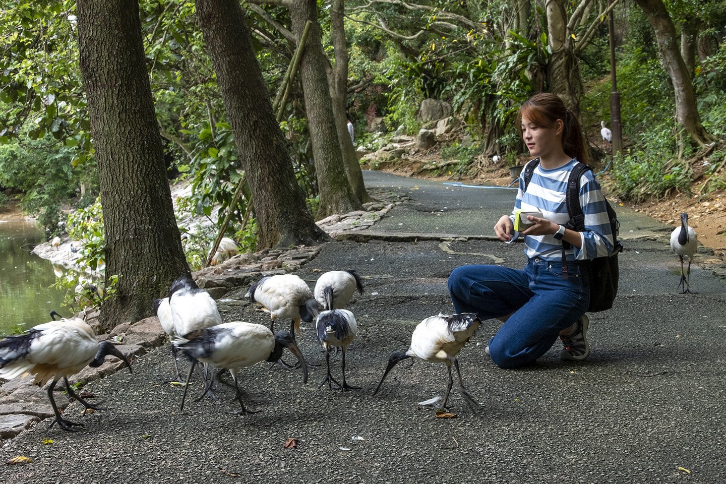 🏞️ 네오파크 오키나와 나고 자연동식물공원